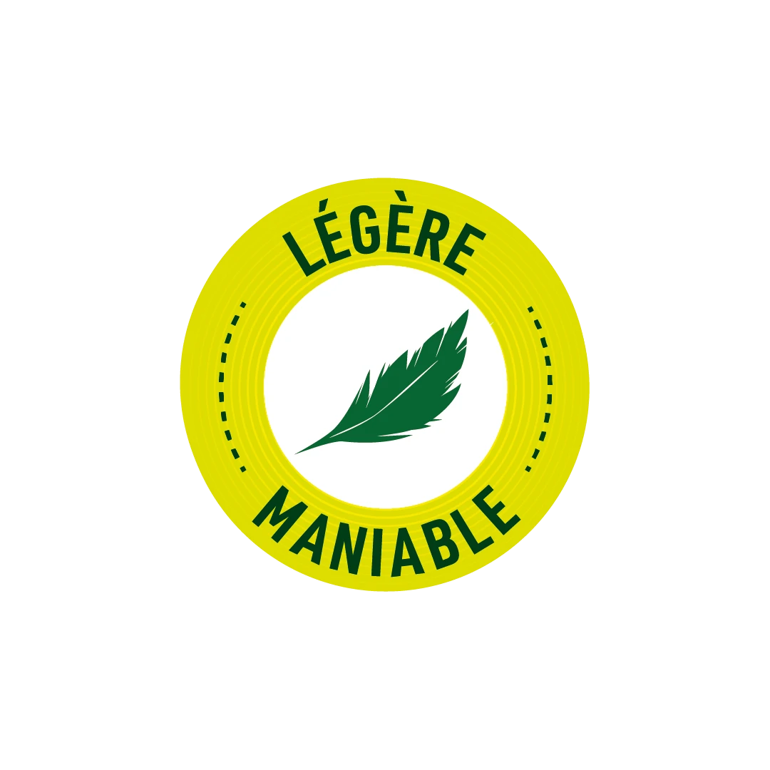 Pack Tronçonneuse Sans Fil 240w + Lot De 2 Chaînes-vert 4 Pack Tronçonneuse Sans Fil 240w + Lot De 2 Chaînes-vert – Image 4