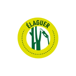 Pack Tronçonneuse Sans Fil Manche Télescopique + Lot De 2 Chaînes-vert -Jardin Outils Magasin 6363b0da3561f2.32853623