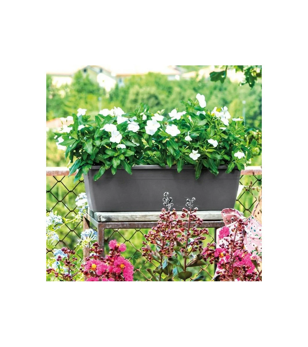 Jardiniere Day R Anthracite - Coloris Gris Anthracite - 50cm 1 Jardiniere Day R Anthracite - Coloris Gris Anthracite - 50cm