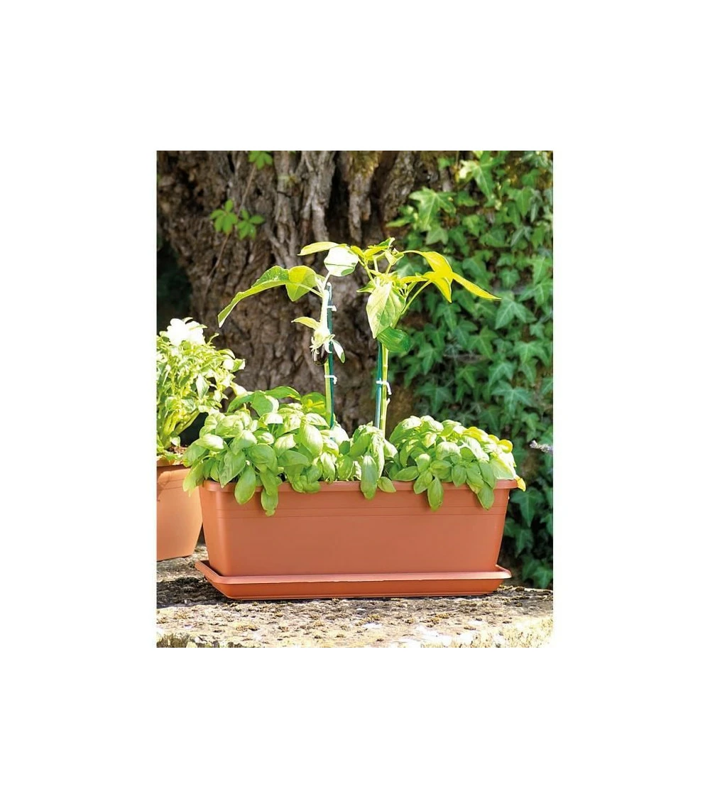 Jardiniere Day R Cotto - Coloris Terre Rouge - 50cm 2 Jardiniere Day R Cotto - Coloris Terre Rouge - 50cm – Image 2