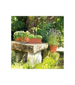 Jardiniere Day R Cotto - Coloris Terre Rouge - 50cm 7 Jardiniere Day R Cotto - Coloris Terre Rouge - 50cm -Jardin Outils Magasin 645cf55c99edc1.69867466