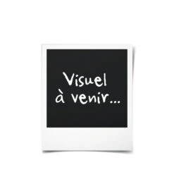 Elho Jardiniere Green Basics 60 - Vivre Noir - Extérieur - Xxl - L 29,5 X W 59,2 X H 27,7 Cm 7 Elho Jardiniere Green Basics 60 - Vivre Noir - Extérieur - Xxl - L 29,5 X W 59,2 X H 27,7 Cm -Jardin Outils Magasin 645cf561d06225.50447348