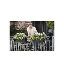 Elho Balconniere Green Basics Allin1 55 - Extérieur & Balcon - Xl - L 32,3 X W 56,4 X H 22,7 Cm - Vivre Noir -Jardin Outils Magasin 645cf56390dbb6.90868122