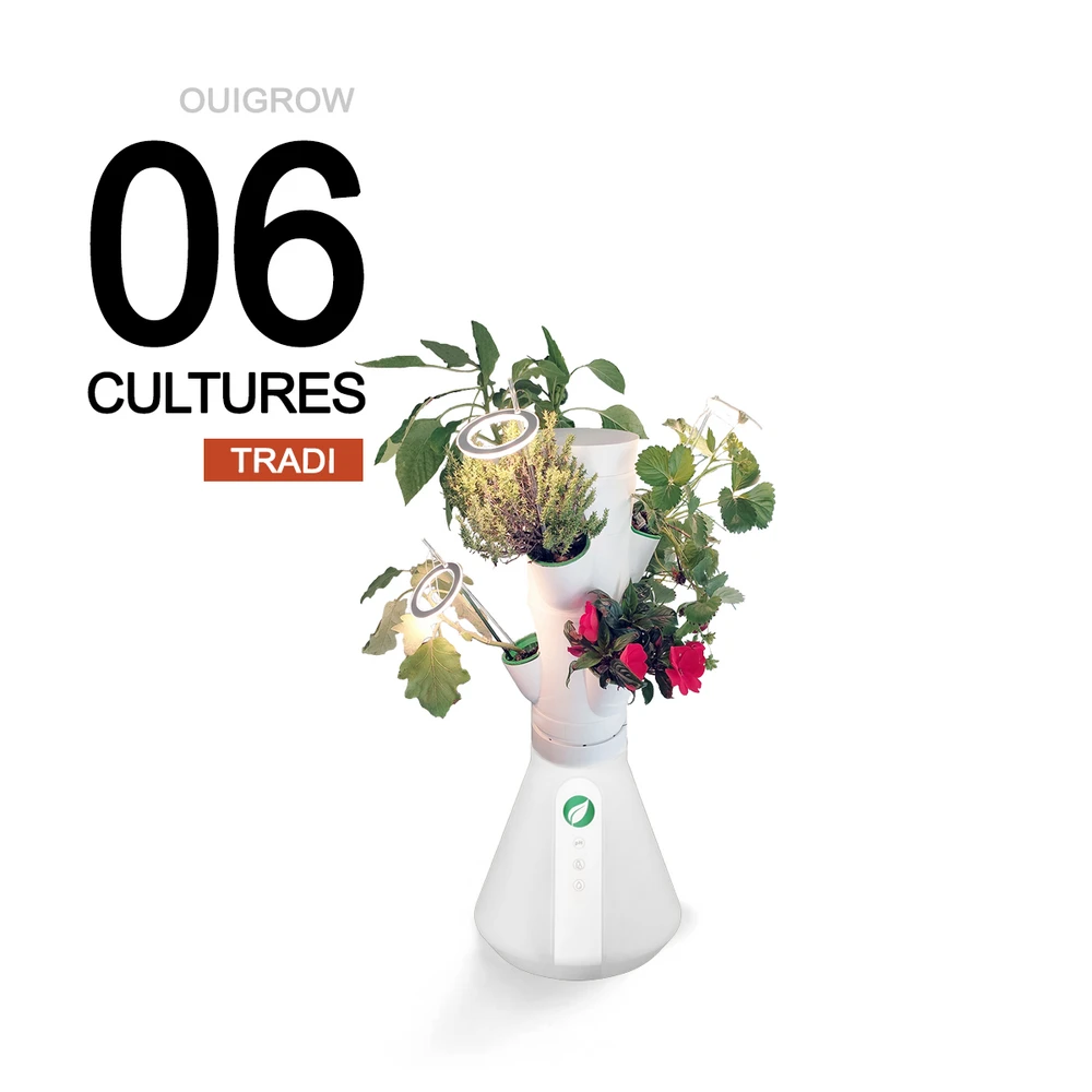 Ouigrow Tradi 6 Cultures 1 Ouigrow Tradi 6 Cultures