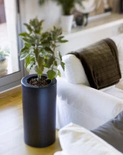 Pot De Fleurs Rond Palma 70 Noir Opaque ø35x70cm -Jardin Outils Magasin 6470a378b67063.35409589