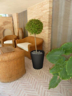 Pot De Fleurs Gerbera ø50x59,5cm - Anthracite -Jardin Outils Magasin 6478c7f4b074b2.90633905