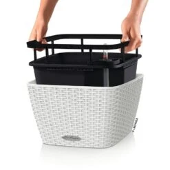 LECHUZA Jardinière Bacino Cottage All-in-one 30x30 Cm Blanc 7 LECHUZA Jardinière Bacino Cottage All-in-one 30x30 Cm Blanc -Jardin Outils Magasin 64798954281919.42979465