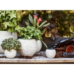 Ensemble De Pot De Fleurs Boule Nature Rib Ivoire -Jardin Outils Magasin 64798958102562.13059952