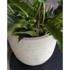 Pot à Fleurs Waste Rib 43x41 Cm Beige Terrazzo -Jardin Outils Magasin 6479895e5d9788.64968332