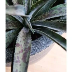 Pot à Fleurs Waste Smooth 43x41 Cm Gris -Jardin Outils Magasin 6479896195b644.79787079