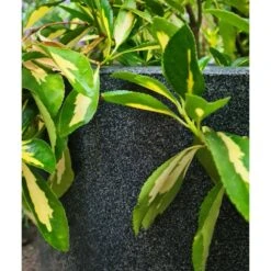 Pot à Fleurs Waste Smooth 43x41 Cm Gris -Jardin Outils Magasin 647989619db2d1.88941631