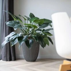 Vase élégant Groove 46x58 Cm Anthracite -Jardin Outils Magasin 6482c45ae14806.82498096