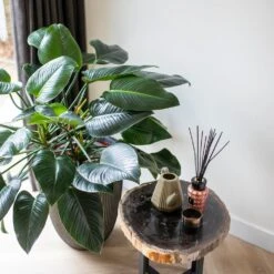 Vase élégant Groove 46x58 Cm Anthracite -Jardin Outils Magasin 6482c45ae4ed23.22651179