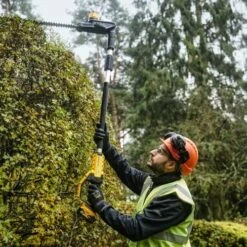 Taille-haies Orientable Sur Perche XR 18 V Brushless Dewalt + Batterie 5 Ah - DCMPH566P1 -Jardin Outils Magasin AFD 150308