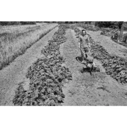 Motobineuse Thermique 4,4kW Stihl MH 600 - 6250-011-3915 -Jardin Outils Magasin AFD 160916