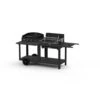 Barbecue MIXTE MENDY ALDE PURE GRILL Le Marquier Noir - MIVME13V2