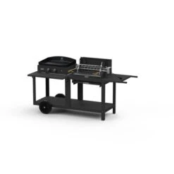 Barbecue MIXTE MENDY ALDE PURE GRILL Le Marquier Noir - MIVME13V2