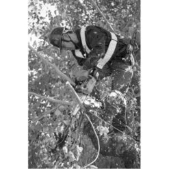 Tronçonneuse D'élagage Sans Fil 18V 25 Cm (sans Batterie Ni Chargeur) - MAKITA - DUC254Z -Jardin Outils Magasin AFD 78405